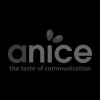 Anice Communication